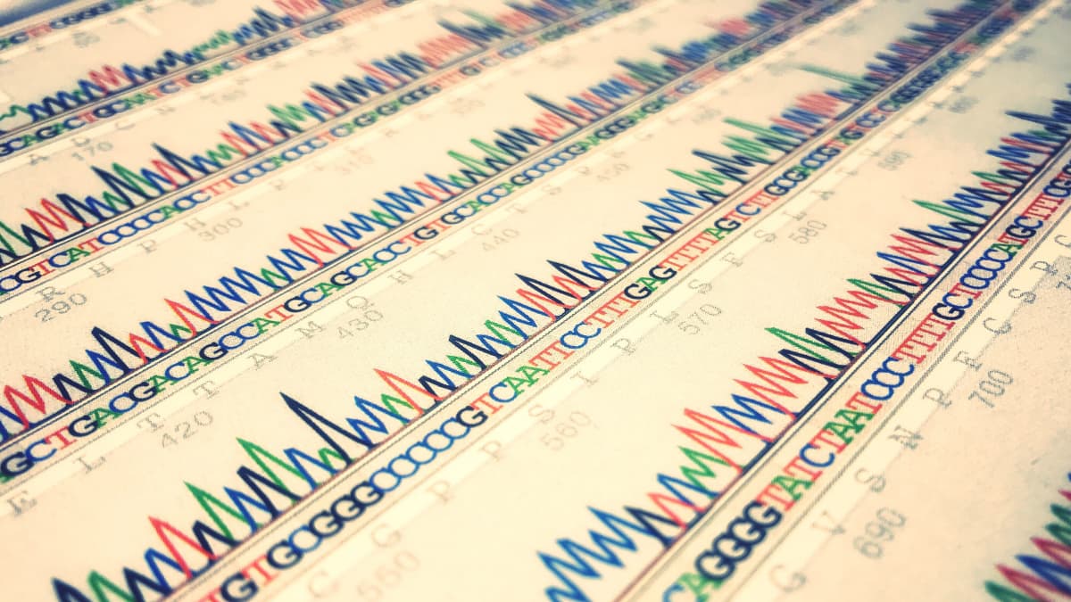 Primeros socios protectores