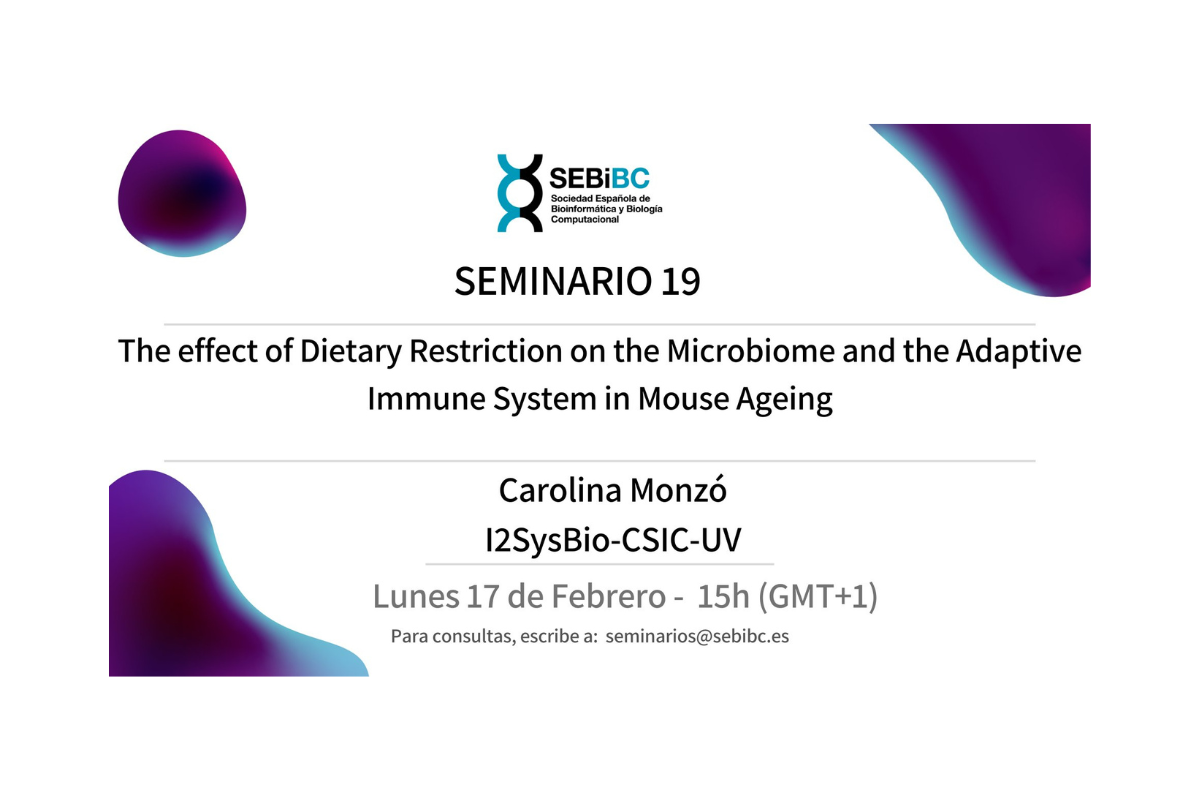 Seminario 19