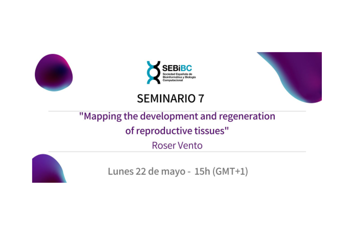 Seminario 7