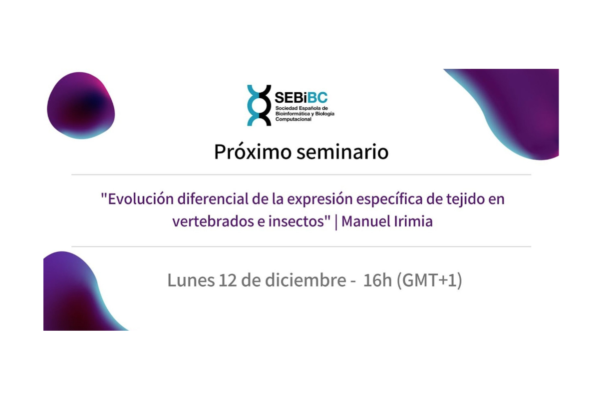Seminario 2